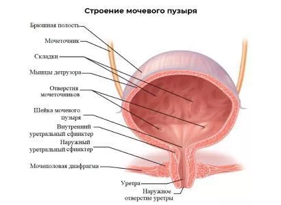 Как лечить цистит в домашних условиях - лечение цистита у женщин и мужчин